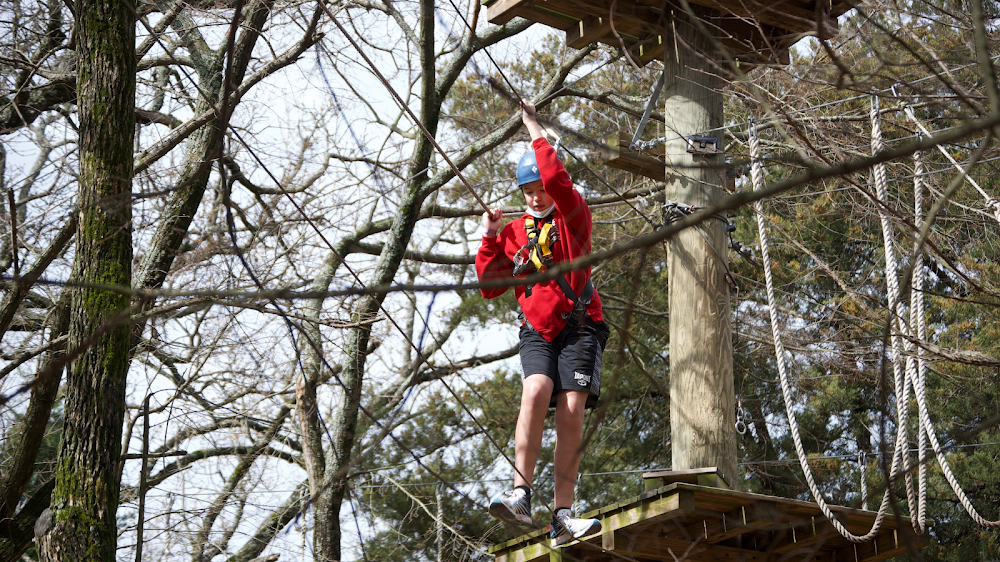 Trinity Forest Adventure Park