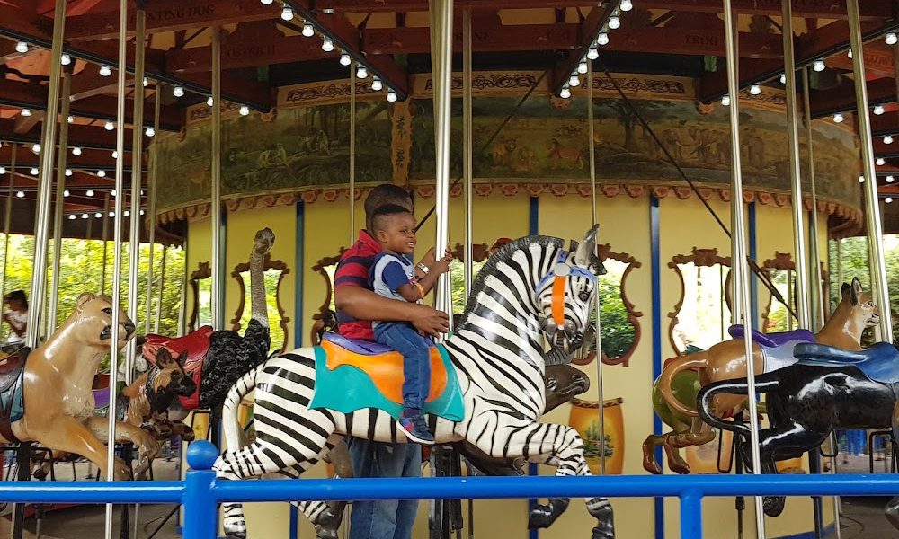 Wildlife Carousel