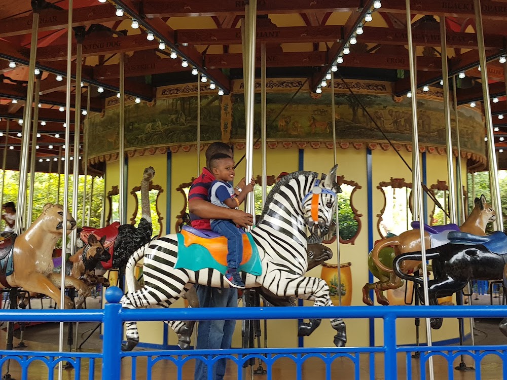 Wildlife Carousel